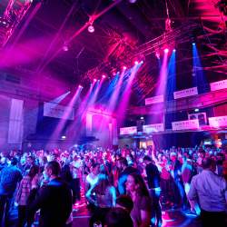 107-MATRIX-Party-2024-FotoBehrendt